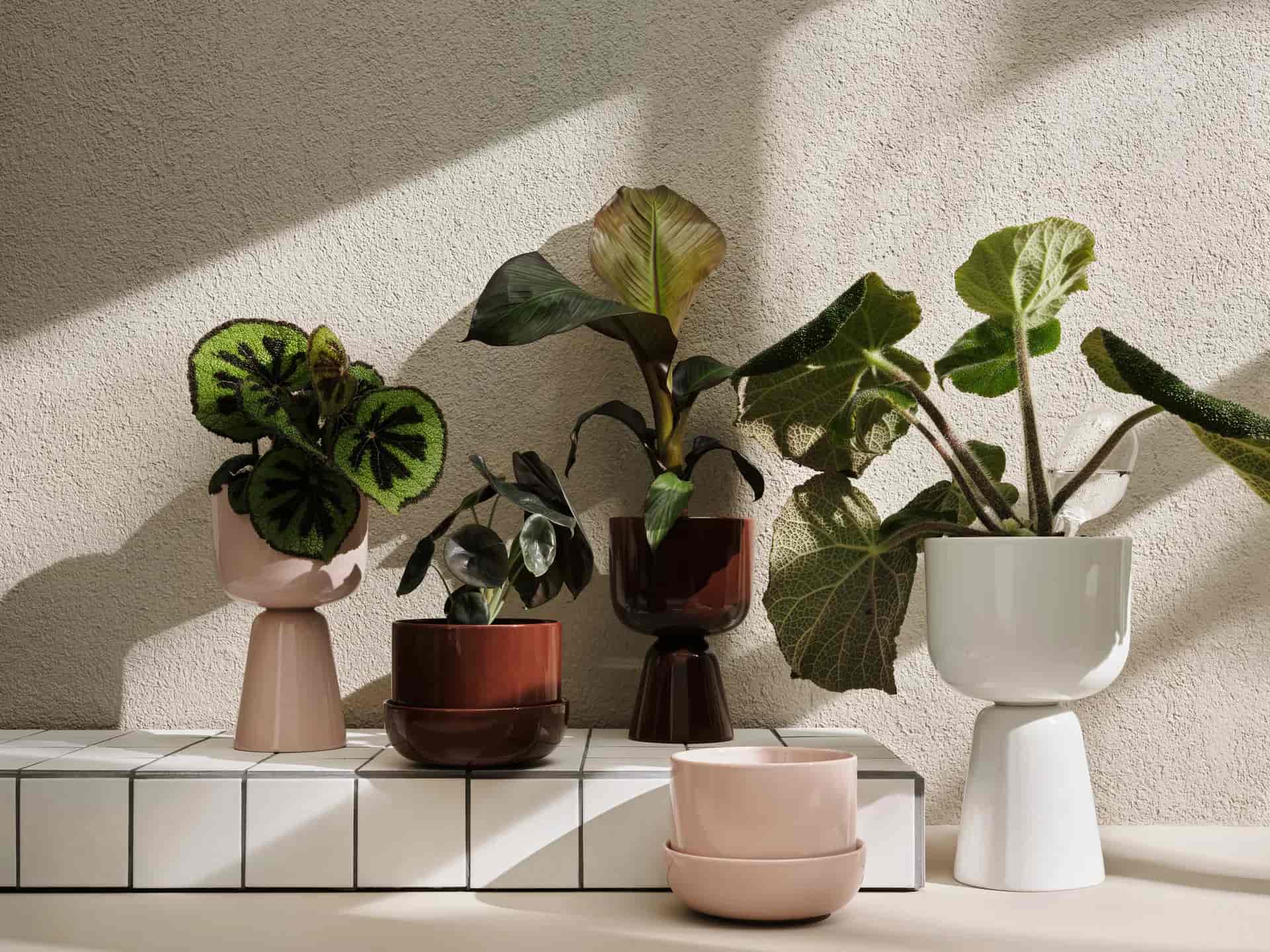 Nappula kruka 190x320 mm