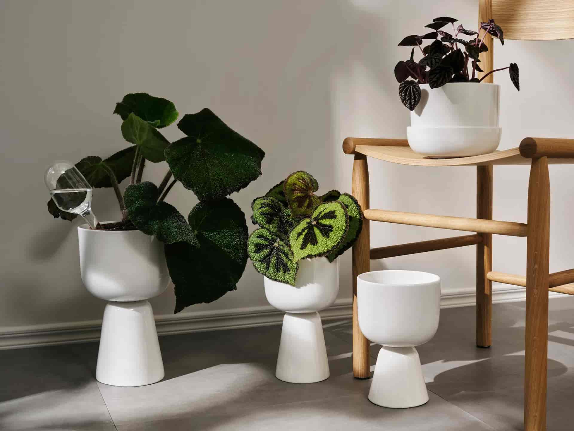 Nappula kruka 190x320 mm